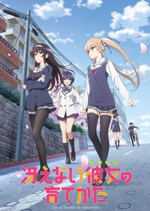 Saekano: come addestrare una ragazza noiosa: Stagione 1