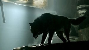 Hemlock Grove Temporada 1 Capitulo 13