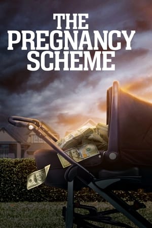 Poster The Pregnancy Scheme (2023)