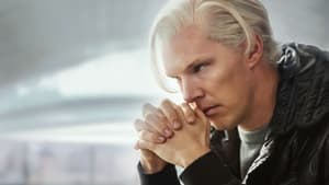 The Fifth Estate (2013)