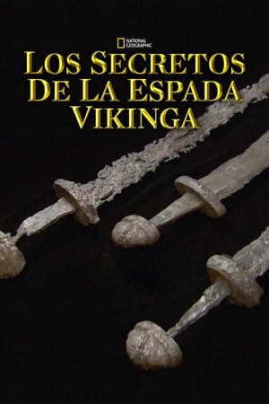 Image NOVA: Secrets of the Viking Sword