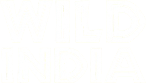 Wild India
