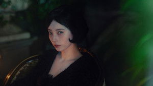 Portraits of Delusion