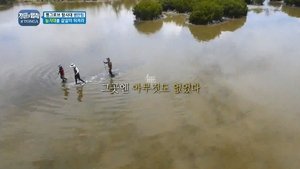 Law of the Jungle #24 : Tonga (3)