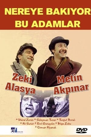 Nereye Bakıyor Bu Adamlar