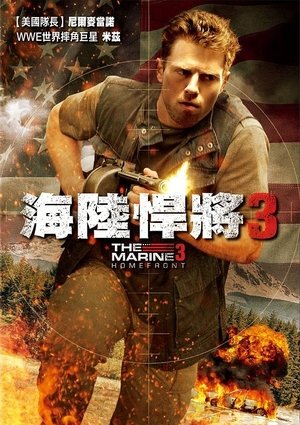 Image 海军陆战队员3：国土防线