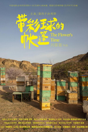 The Time of a Flower 7