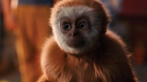 Monkey (2017)