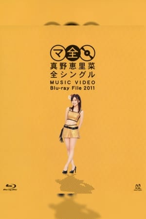 真野恵里菜 全シングル MUSIC VIDEO Blu-ray File 2011