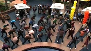 Image Mitch's Flash Mob