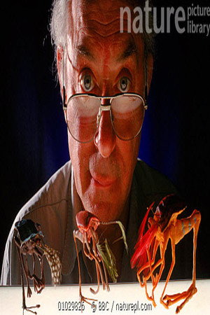 Natural History of an Alien