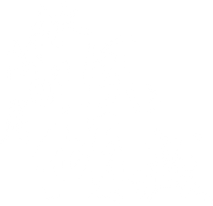 冰芯明月夙倾城 — Logos 1