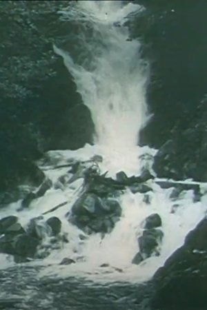 Nonton film Through the Alb Valley to Sankt Blasien (1911) terbaru sub indo Nonton film Through the Alb Valley to Sankt Blasien (1911) terbaru sub indo