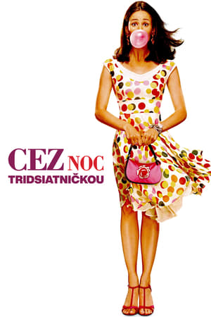 Cez noc tridsiatničkou (2004)