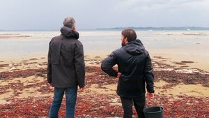 Anthony Bourdain: Parts Unknown: Season 2 Episode 4
