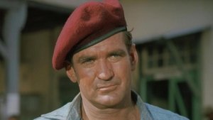 Assistir Os Mercenários Online