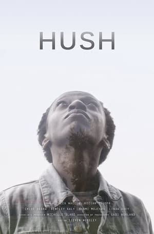 Poster Hush (2016)