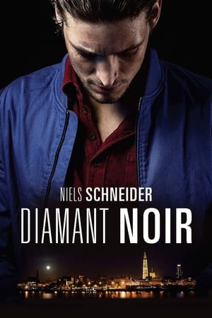 Image Diamant noir