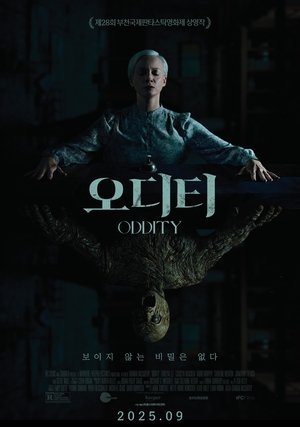 Image 오디티