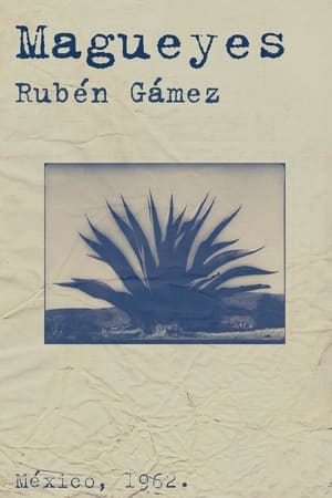 Poster Magueyes 1962