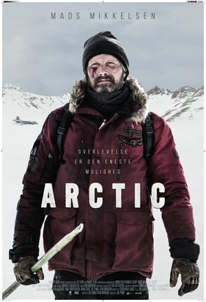 Poster Arctic 2018