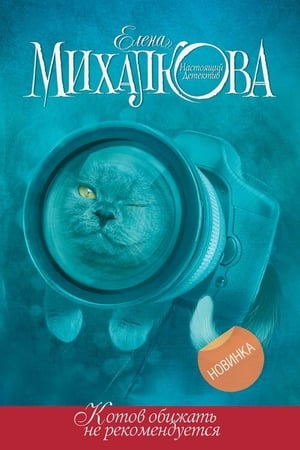 Poster Котов обижать не рекомендуется (2018)