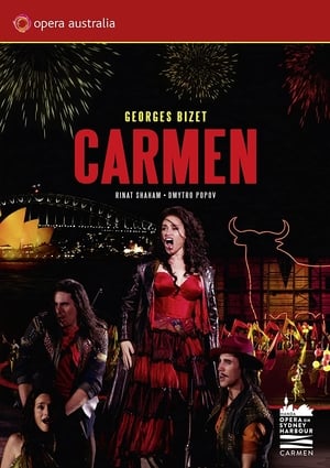 Poster Bizet: Carmen (2013)
