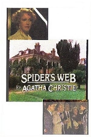 Image Spider's Web