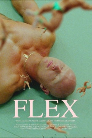 Poster Flex (2020)