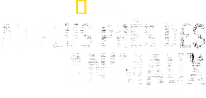 Animals Up Close with Bertie Gregory — Logos 12