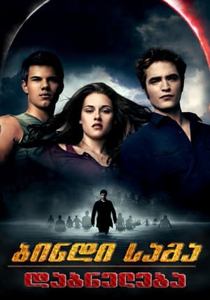 Poster ბინდის საგა: დაბნელება 2010