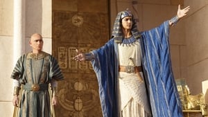 Tut (2015)