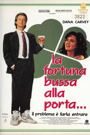 La fortuna bussa alla porta... il problema è farla entrare (1990)