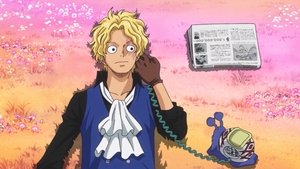 One Piece: Season 20 Episode 880