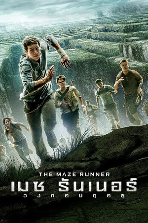 poster The Maze Runner