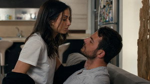 Épisode 231