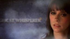 Ghost Whisperer – Stimmen aus dem Jenseits: 2×12