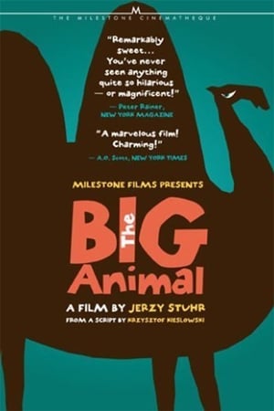 The Big Animal poster