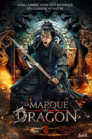 Longmen Town Inn 3