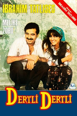 Poster Dertli Dertli (1987)