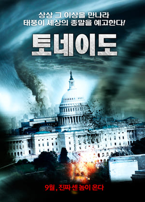 Poster 토네이도 2011