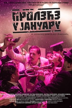 Poster Spring in January (2019)