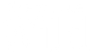 Great Blue Wild