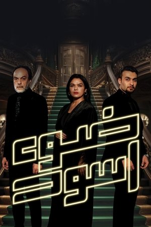 Poster ضوء أسود 2024