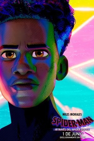 poster Spider-Man: Across the Spider-Verse