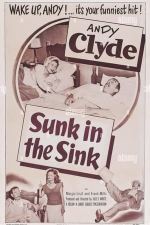 Sunk in the Sink poster