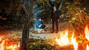 Private Lives ( 2020 )