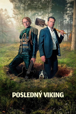 poster The Last Viking