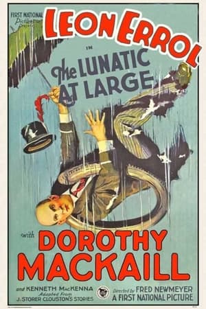 Poster The Lunatic at Large 1927