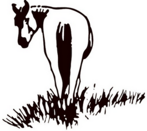 Logo Mike Zoss Productions